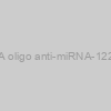 AXMIR-122 RNA oligo anti-miRNA-122-5p with Xmotif